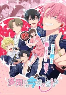 Tamon-kun Ima Docchi Episode 1-13 [BATCH]